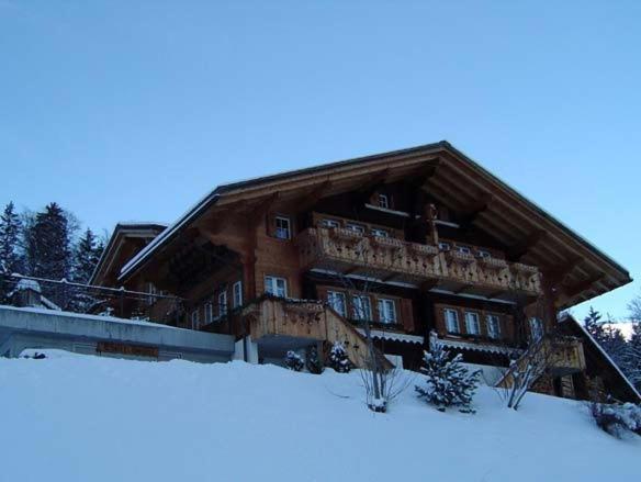 Chalet Spinne Grindelwald Exterior foto
